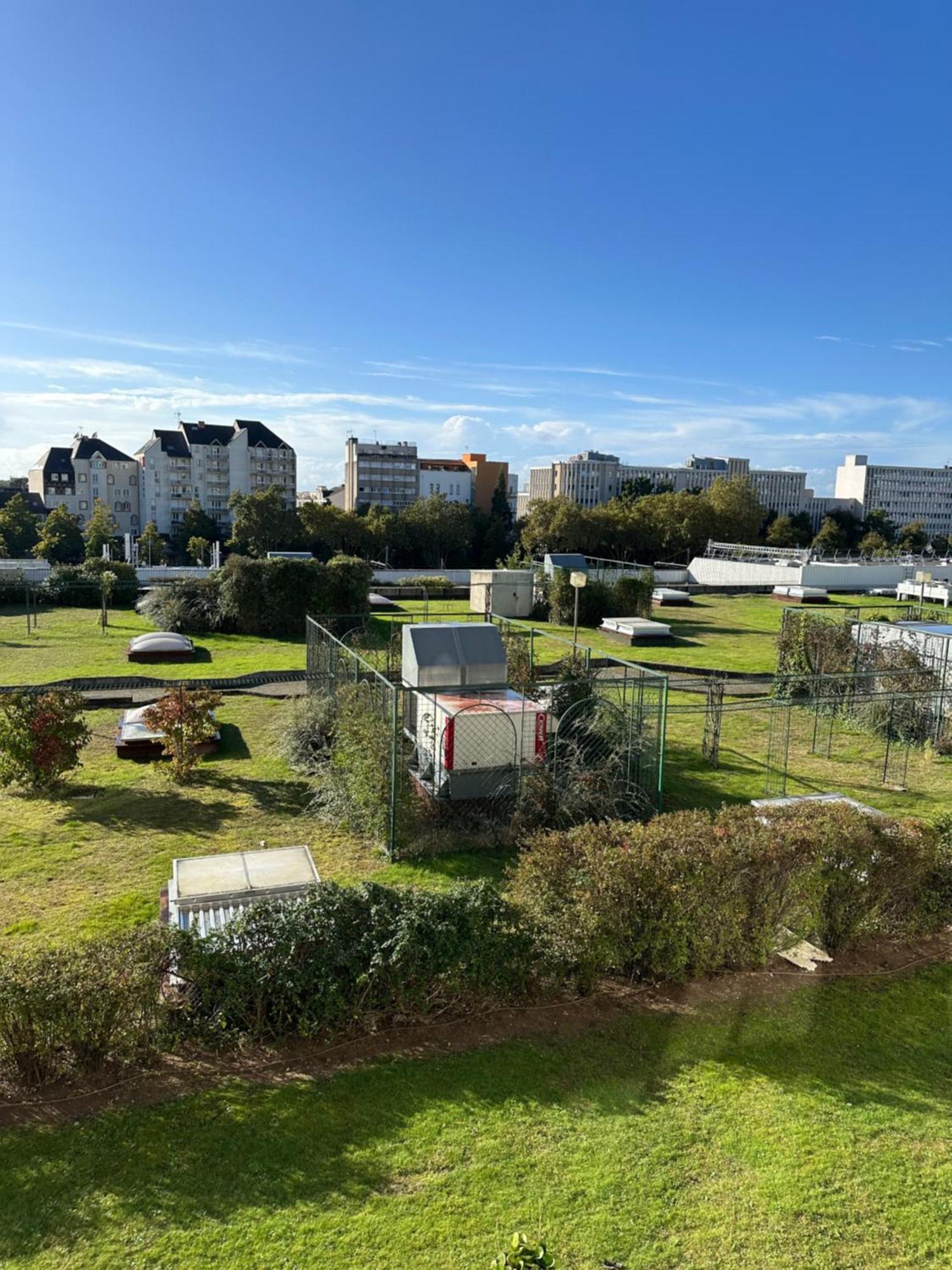 Superbe F3 Au Calme Hyper Centre Apartman Orléans Kültér fotó